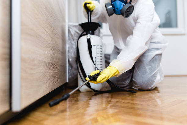Best Termite Control Services  in Henagar, AL
