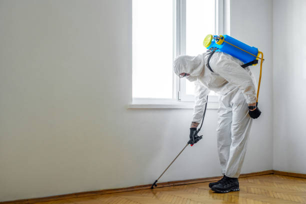 Best Wildlife Control Services  in Henagar, AL