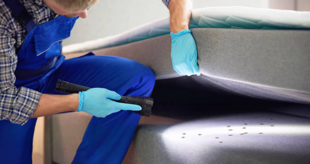 Best Pest Control Near Me  in Henagar, AL